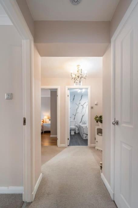 Immaculate Centre With Free Parking - Ground Floor