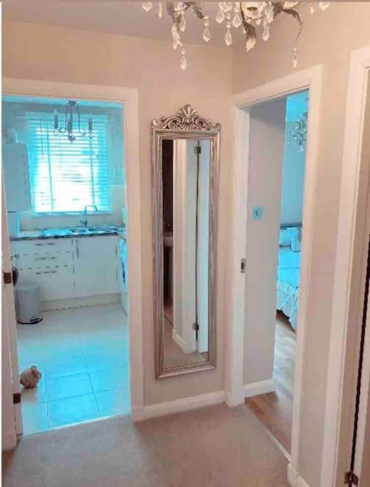 Apartment Immaculate Centre With Free Parking - Ground Floor Aberdeen